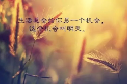 每日一句正能量励志语录,激励心灵，点燃梦想