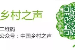 当心这些所谓赚钱项目是陷阱！2025/5/20网络赚钱有哪些