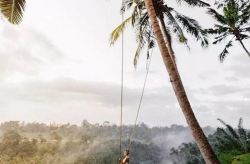 网红bali,揭秘网络红人的魅力与影响力