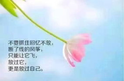 一句最走心的句子,心宽路自宽——一句走心句子的人生感悟”