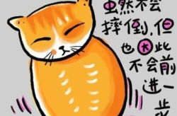 有趣图片,一图看尽世间百态