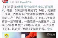 网红猪崽,萌态可掬的互联网新宠