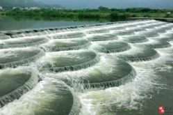 水坝网红,揭秘网红水坝背后的魅力与故事