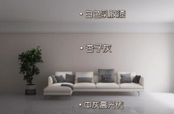 网红乳胶,健康睡眠新潮流