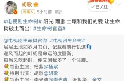 1天7瓜备孕三胎回应退赛否认番位操纵揭开娱乐圈大揭秘今日娱乐圈热搜榜