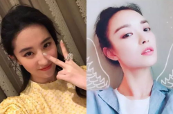 网红和明星有什么区别,差异解析与时代变迁