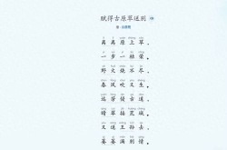 佛系昵称二字,网络时代的个性标签与生活态度