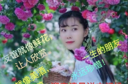 美女早上好图片,美女早上好图片赏析