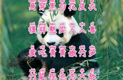 3 6岁幼儿谜语动物,趣味盎然的动物世界探索之旅