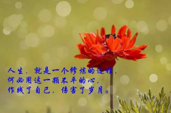 适合发朋友圈的人生感悟句子,人生哲理短句，触动心灵深处