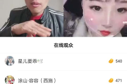 快手网红能挣多少钱,揭秘网红经济背后的惊人收入